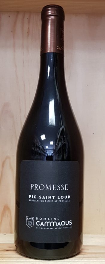 domaine cammaous « promesse »