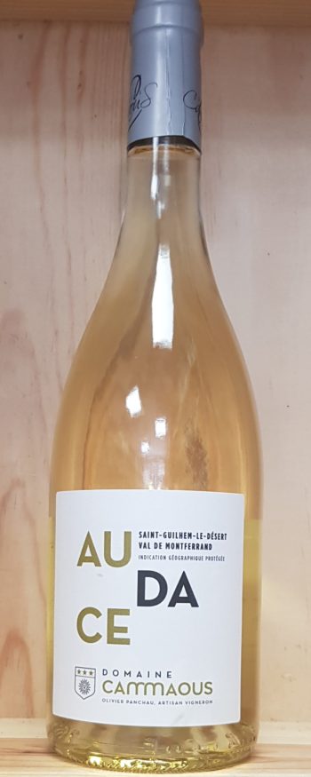 domaine cammaous « Audace blanc »