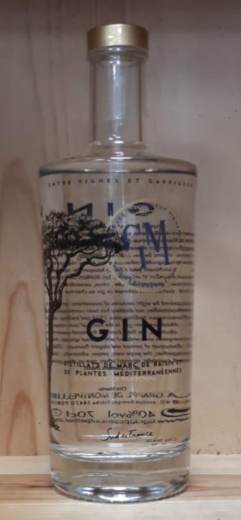 GIN de Montpellier